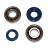 bearing and seal set CIF crankshaft fast minarelli hor+vert