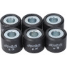 variator roller set Polini 20.0gr 20x17mm gts 300, mp3-300cc, Runner 180cc, Runner 200cc 242.357