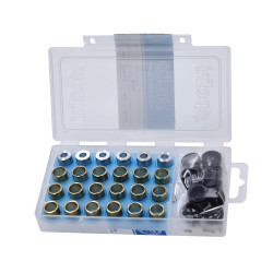 variator roller set Polini 3.5-5gr 15x12mm 242.401