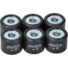 variator roller set Polini 22.0gr 20x17mm gts 300, mp3-300cc, Runner 180cc, Runner 200cc 242.358