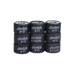 variator roller set Polini 5.5gr 19x12mm 242.324