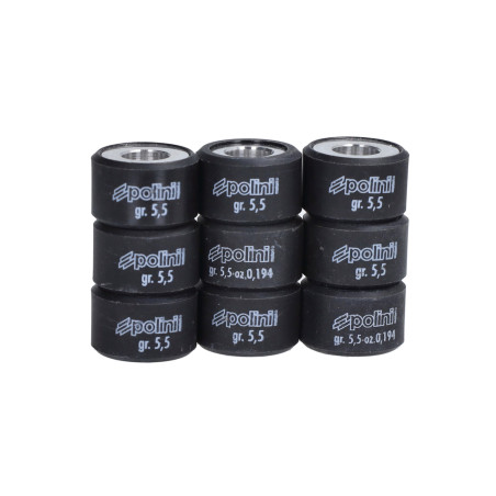 variator roller set Polini 5.5gr 19x12mm 242.324