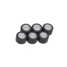 variator roller set Polini 3.2gr 17x12mm 242.112