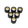 variator roller set RMS 5.8gr 17x13.5mm
