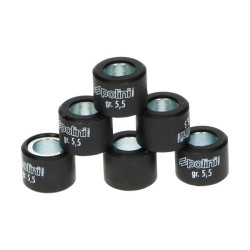 variorolset polini 7.4gr 15x12mm minarelli 242.127