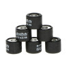 variator roller set Polini 3.8gr 16x13mm sco gy6, sco piaggio ot 242.053
