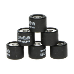 variorolset polini 4.2gr 16x13mm sco gy6, sco piaggio ot 242.055