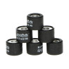 variator roller set Polini 4.2gr 16x13mm sco gy6, sco piaggio ot 242.055