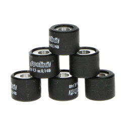 variorolset polini 8.4gr 16x13mm sco gy6, sco piaggio ot 242.063