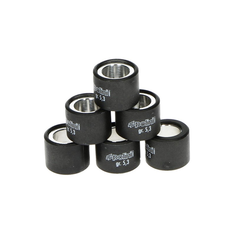 variator roller set Polini 6.6gr 19x15.5mm sco piaggio nt 242.080