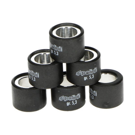 variator roller set Polini 6.6gr 19x15.5mm sco piaggio nt 242.080