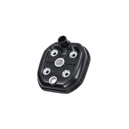 cilinderkop polini RV4 minarelli am6 211.0181