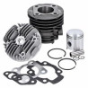 cylinder with head Fast Arrow 60cc 40mm mv50, puch, ms50