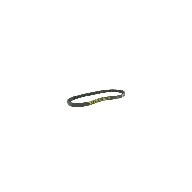 v-snaar malossi 838x18 Honda sh50 x8r 619221