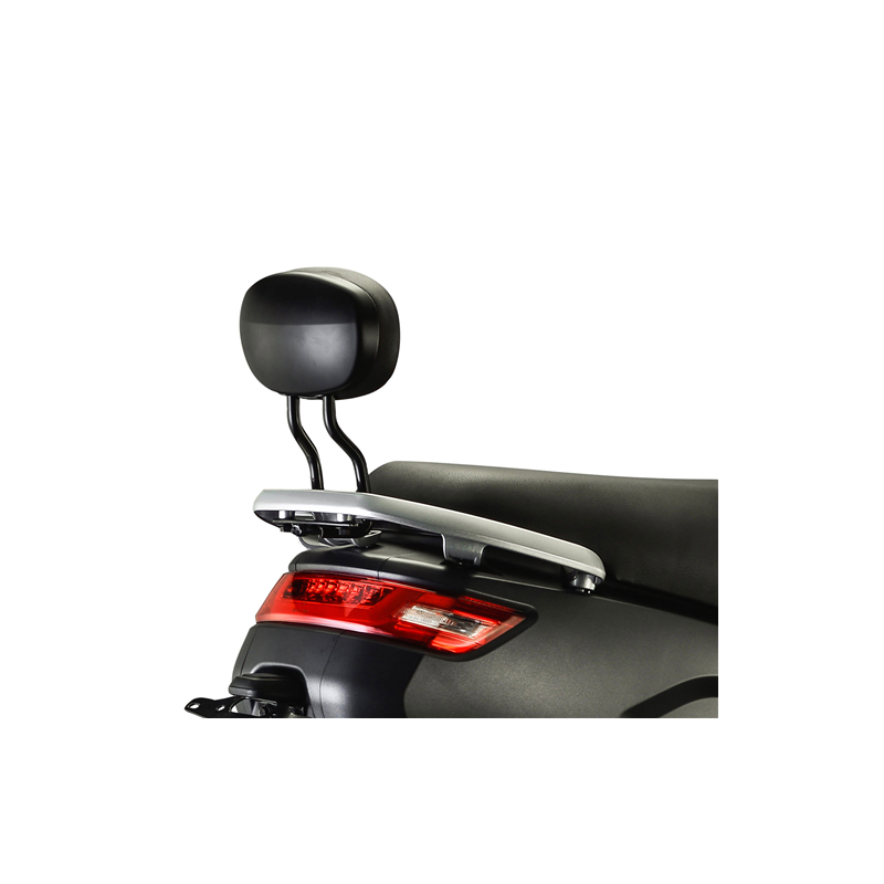 IVA E-GO S4 Rugsteun