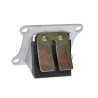 membraan EVO carbon honda mb5, mb8, mt5, mt8, mtx