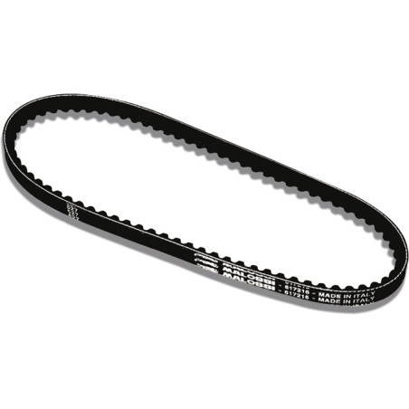 V-belt Malossi 1163x15.5 fox, wallaroo 6118940