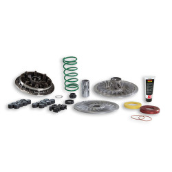 overrange system Malossi euro-4/5 t-max530, t-max560 6118154