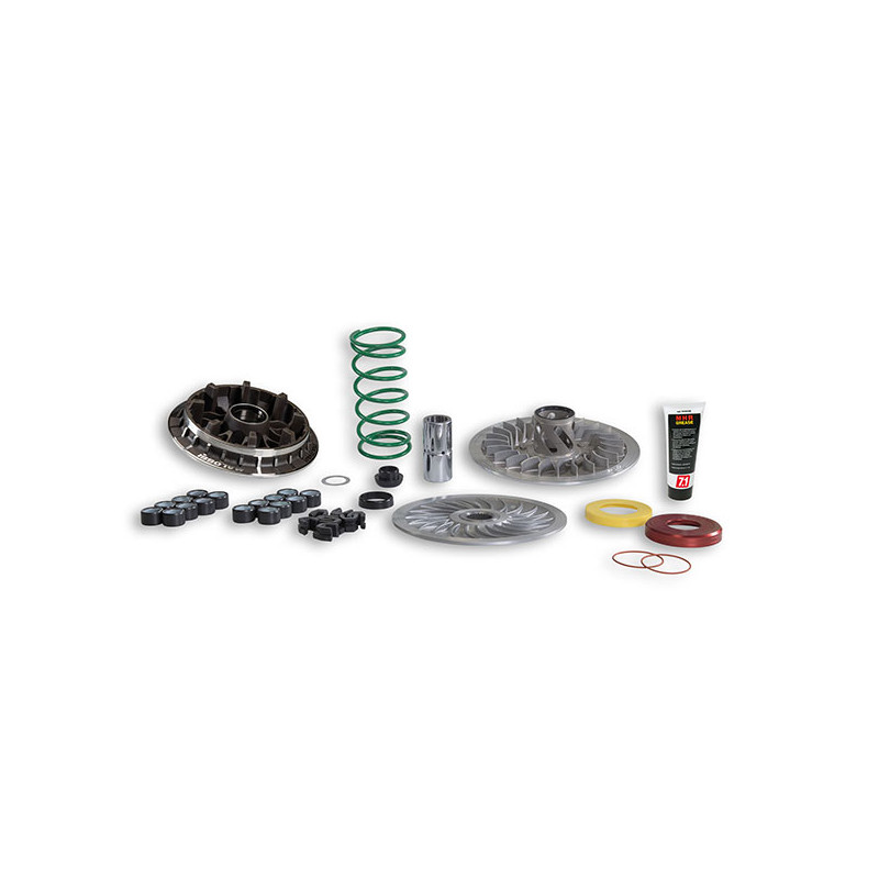 overrange system Malossi euro-4/5 t-max530, t-max560 6118154