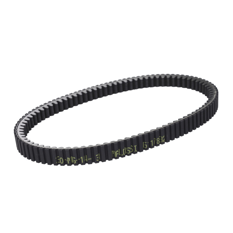 v-snaar malossi 974x24.9 euro 4/5 tricity 300, x-max 300 6117832