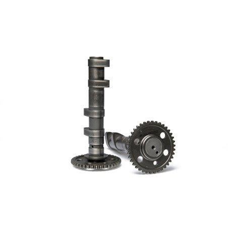 camshaft Malossi euro-5 sco yamaha, t-max560 5919140