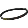 V-belt Malossi (22X9.3X796 MM) yamaha 6116419