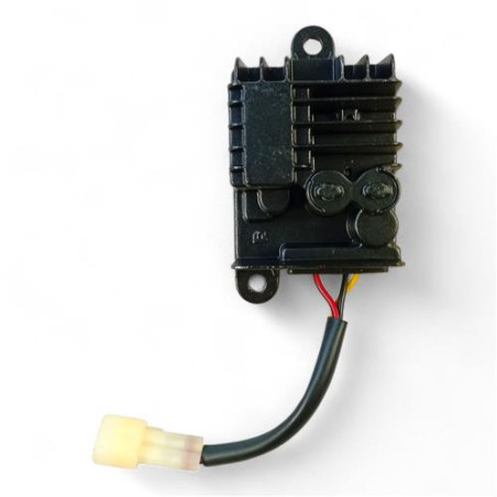 IVA E-GO S3/S4/S5/S8 Spanningsregelaar | QualityMotors