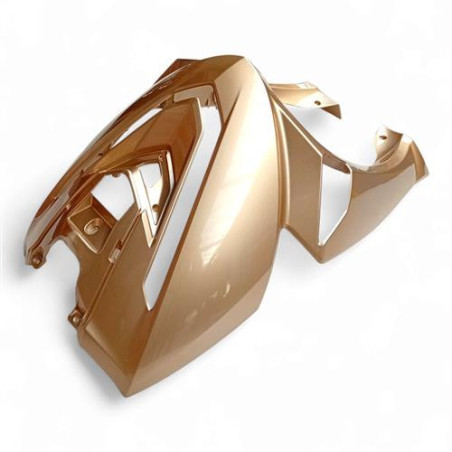 IVA Z1000 Voorkap Champagne