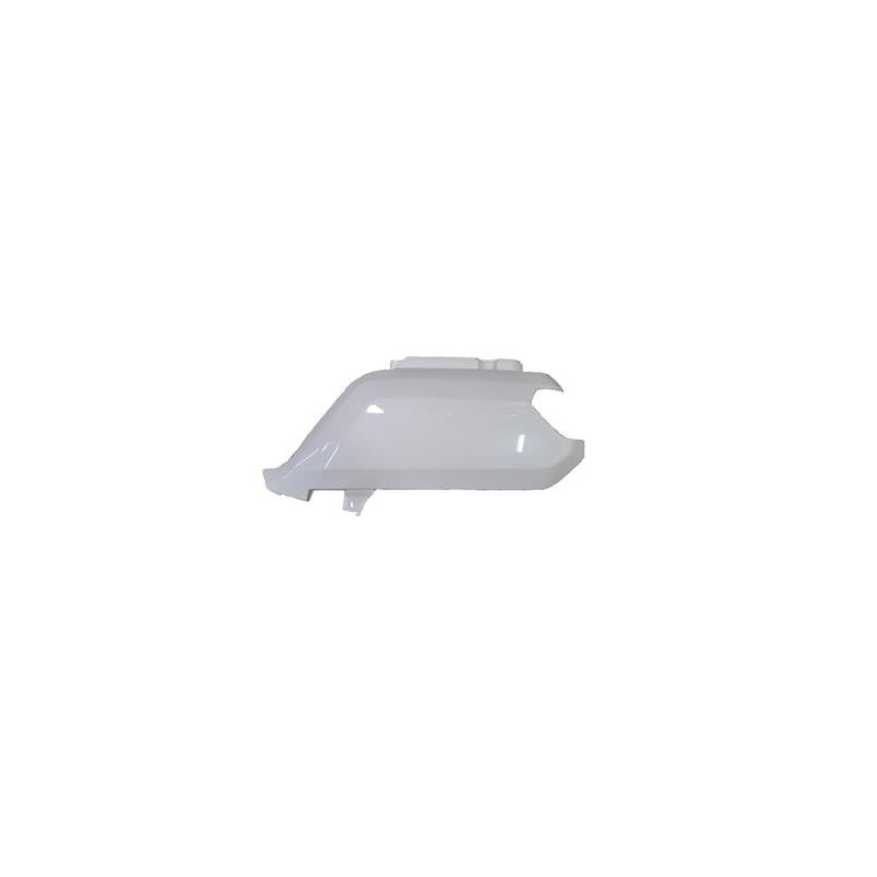 IVA E-GO S5 Delivery Zijkap Links Wit | QualityMotors