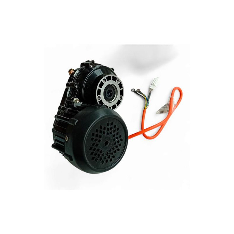 IVA S1000 Motor | QualityMotors