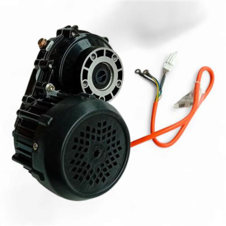 IVA S1000 Motor | QualityMotors