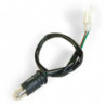 IVA Lux Electric 2.0 Kentekenplaat Verlichting | QualityMotors