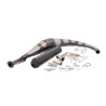 uitlaat yasuni R2 carbon beta rr50, dt50r, minarelli am6, ryz, senda, smx, xsm tub810tc