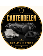 Carterdelen