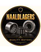 Naaldlagers