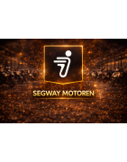 Segway Elektrische Motoren | E300SE & E250S | QualityMotors